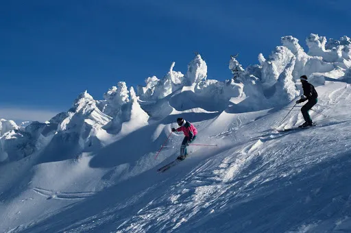 Two skiiers on a snow-covered mountain